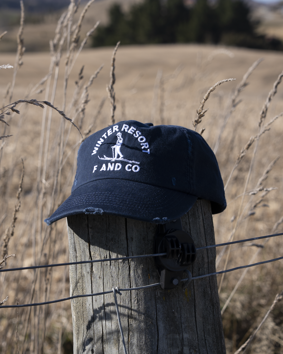 Resort Cap - Ball Trucker - Navy/Distressed